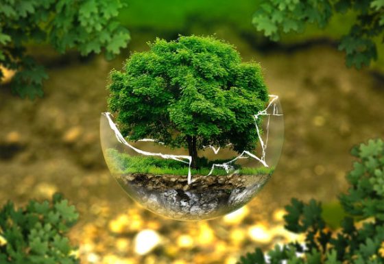 Servizi di Tutela Ecologica